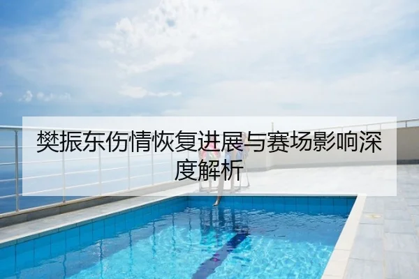樊振东伤情恢复进展与赛场影响深度解析