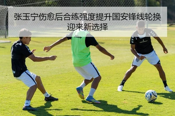 张玉宁伤愈后合练强度提升国安锋线轮换迎来新选择